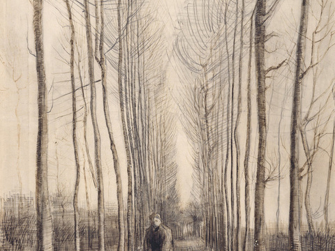 梵高后印象派素描绘画作品，现代世界经典名画502 梵高 Av