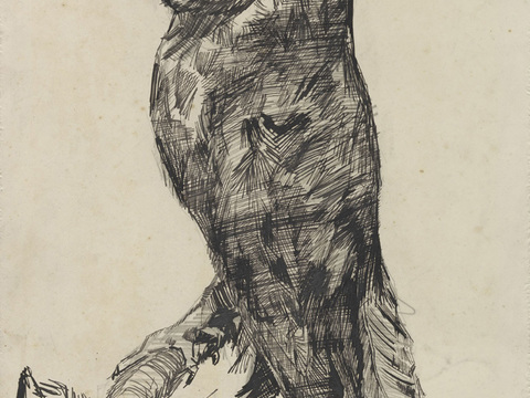  梵高后印象派素描绘画作品，现代世界经典名画505 梵高 Ba 