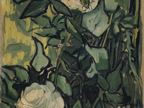  梵高后印象派静物绘画作品，现代世界经典名画302 梵高 Ro 