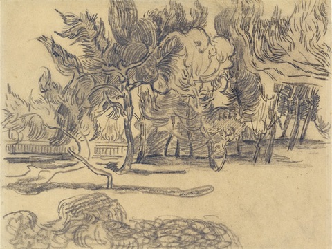 梵高后印象派素描绘画作品，现代世界经典名画566 梵高 Pi