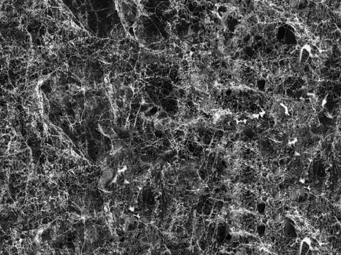  黑宝格大理石,黑色奢石大理石,黑白根大理石,黑色大理石岩板奢 