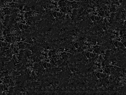  黑宝格大理石,黑色奢石大理石,黑白根大理石,黑色大理石岩板奢 