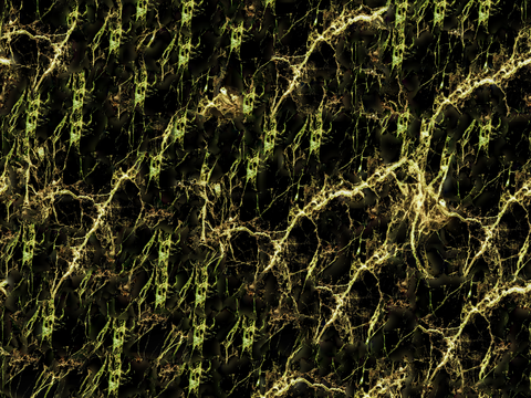  黑宝格大理石,黑色奢石大理石,黑白根大理石,黑色大理石岩板奢 