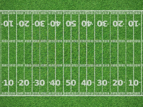 其他运动场地12