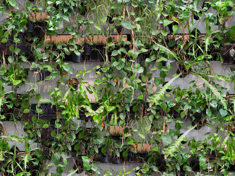 垂直绿植墙，生态绿植墙绿化墙164
