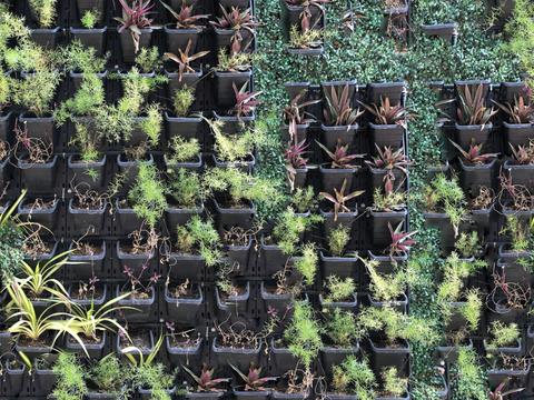 垂直绿植墙，生态绿植墙绿化墙160