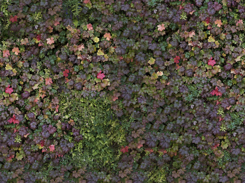 垂直绿植墙，生态绿植墙绿化墙143