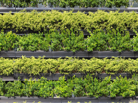 垂直绿植墙，生态绿植墙绿化墙200 