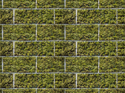 垂直绿植墙，生态绿植墙绿化墙58