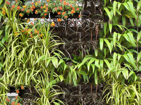  垂直绿植墙，生态绿植墙绿化墙109 