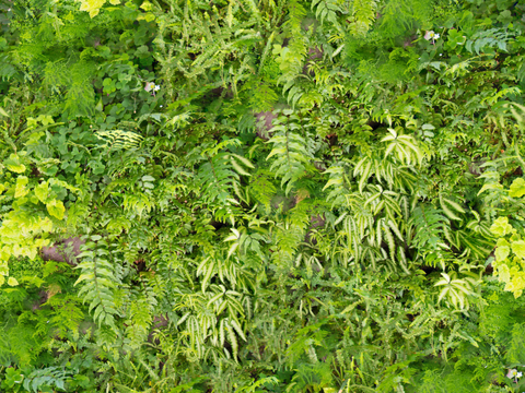 垂直绿植墙，生态绿植墙绿化墙138