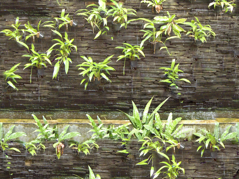 垂直绿植墙，生态绿植墙绿化墙105