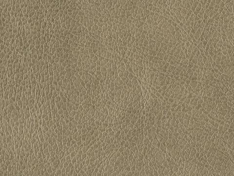 无缝灰绿色皮革