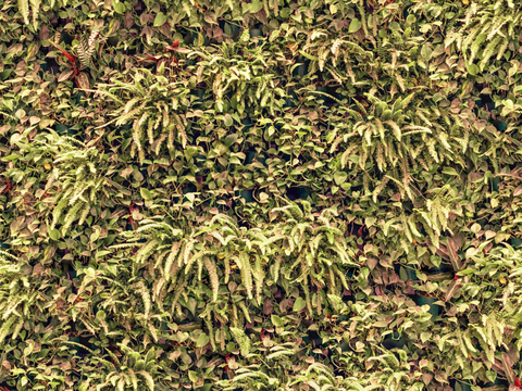 垂直绿植墙，生态绿植墙绿化墙187