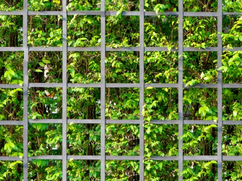  垂直绿植墙，生态绿植墙绿化墙52 