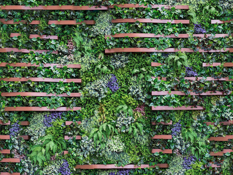 垂直绿植墙，生态绿植墙绿化墙154