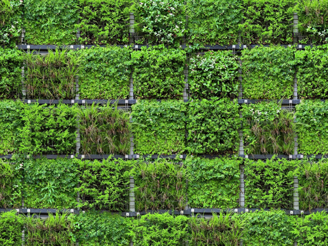  垂直绿植墙，生态绿植墙绿化墙72 