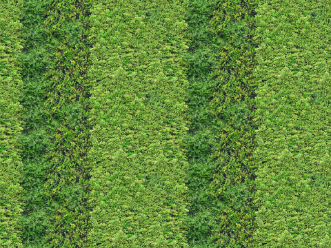 垂直绿植墙，生态绿植墙绿化墙1