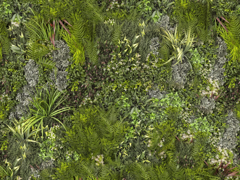  垂直绿植墙，生态绿植墙绿化墙236 