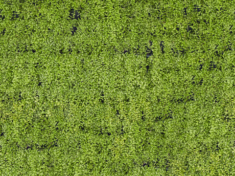 垂直绿植墙，生态绿植墙绿化墙150