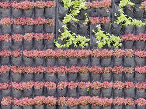 垂直绿植墙，生态绿植墙绿化墙151