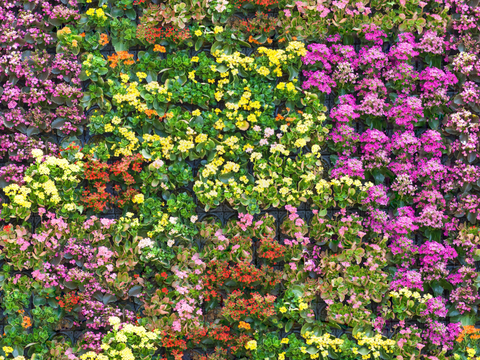  垂直绿植墙，生态绿植墙绿化墙97 