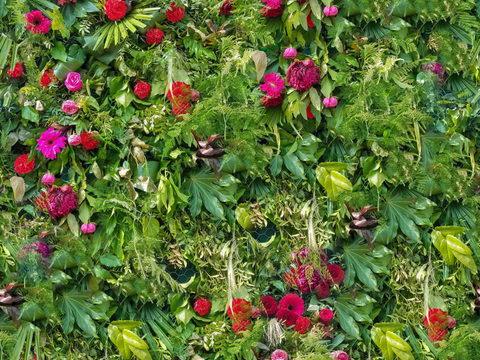 垂直绿植墙，生态绿植墙绿化墙183