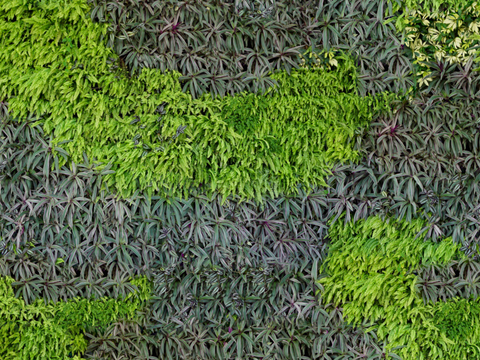  垂直绿植墙，生态绿植墙绿化墙33 