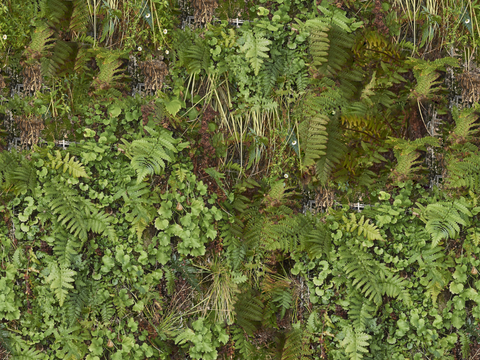  垂直绿植墙，生态绿植墙绿化墙132 