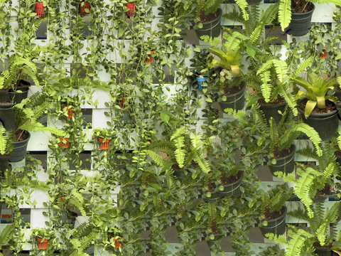 垂直绿植墙，生态绿植墙绿化墙103