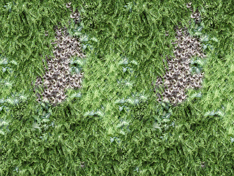  垂直绿植墙，生态绿植墙绿化墙14 