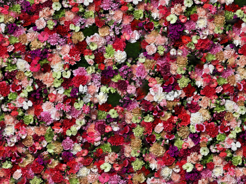  垂直绿植墙，生态绿植墙绿化墙223 