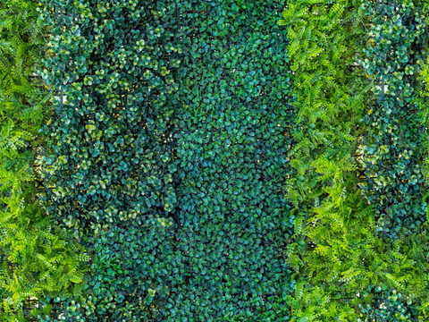  垂直绿植墙，生态绿植墙绿化墙3 