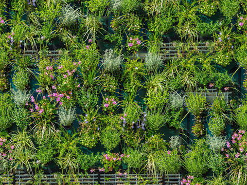  垂直绿植墙，生态绿植墙绿化墙233 