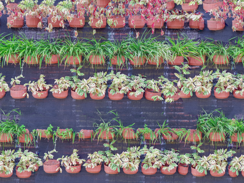  垂直绿植墙，生态绿植墙绿化墙222 