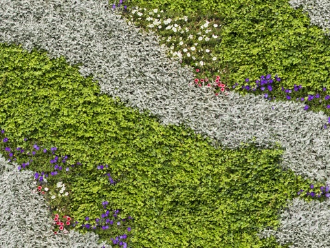  垂直绿植墙，生态绿植墙绿化墙38 