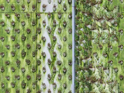 垂直绿植墙，生态绿植墙绿化墙175