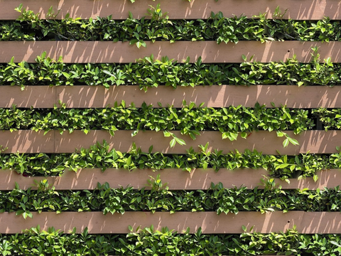 垂直绿植墙，生态绿植墙绿化墙182