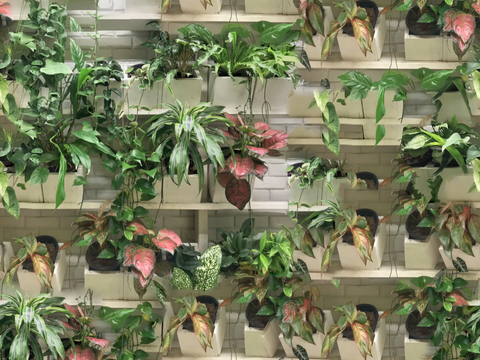 垂直绿植墙，生态绿植墙绿化墙148