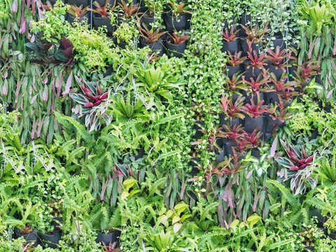 垂直绿植墙，生态绿植墙绿化墙119