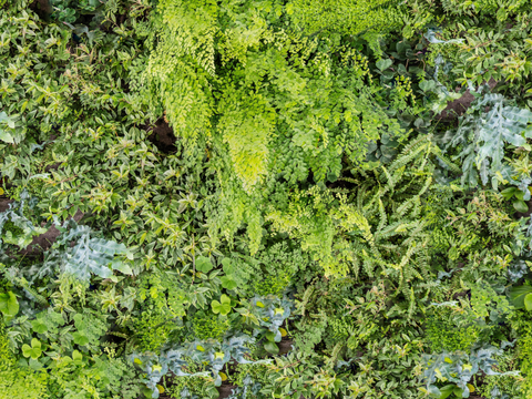  垂直绿植墙，生态绿植墙绿化墙82 