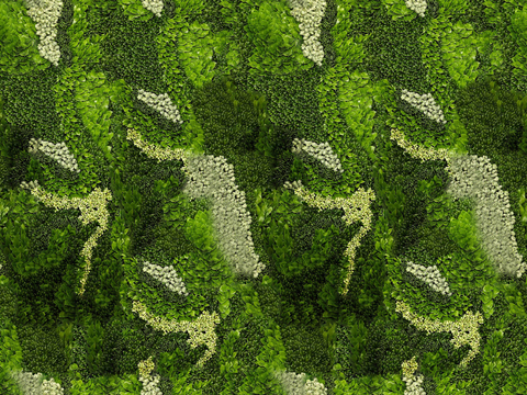  垂直绿植墙，生态绿植墙绿化墙30 