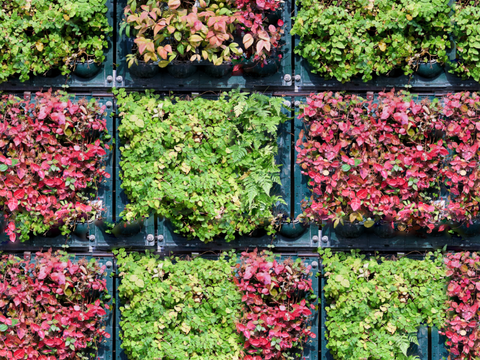  垂直绿植墙，生态绿植墙绿化墙248 
