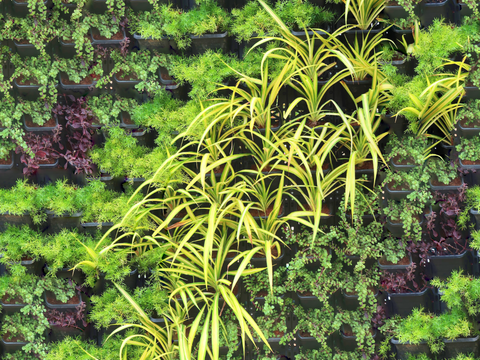 垂直绿植墙，生态绿植墙绿化墙180