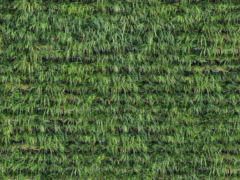 垂直绿植墙，生态绿植墙绿化墙190