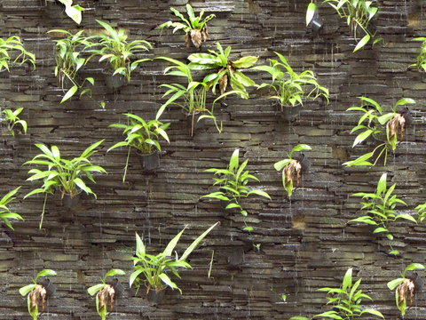 垂直绿植墙，生态绿植墙绿化墙113