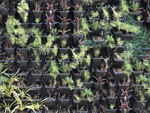 垂直绿植墙，生态绿植墙绿化墙159