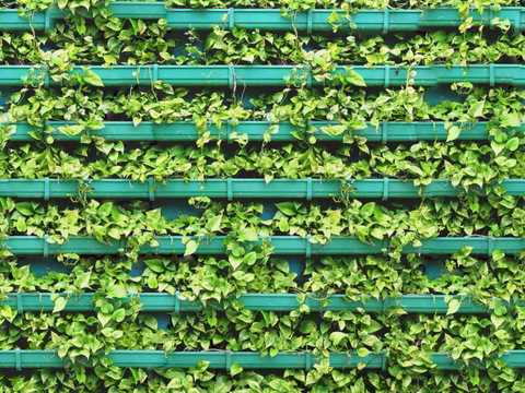 垂直绿植墙，生态绿植墙绿化墙169