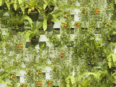 垂直绿植墙，生态绿植墙绿化墙114