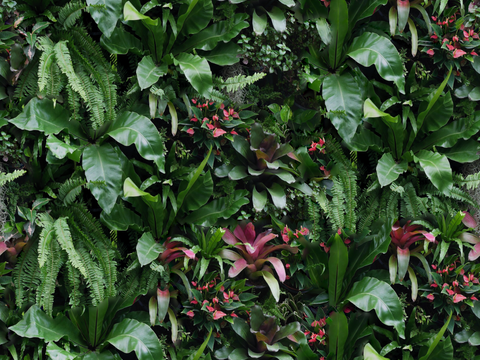  垂直绿植墙，生态绿植墙绿化墙208 